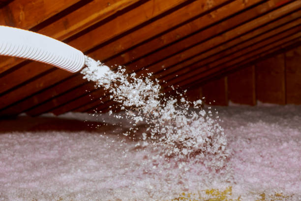 Best Insulation Maintenance and Repair in Menahga, MN